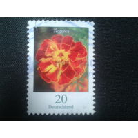 Германия, 2005. Бархатцы