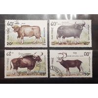 Лаос. 1990 год. Фауна. Олени, буйволы (580)