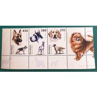 2003 Собаки Беларусь