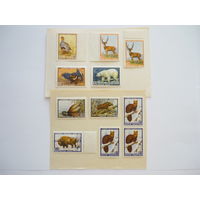 Серия марок СССР 1957 г. Качество! Чистые (MNH **)! По тематике - Фауна СССР. Животные, птицы. Состояние. Есть с полями, парные и сцепка.