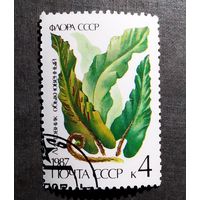 Марка СССР 1987 год Папоротник