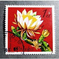 Марка Польша 1981 год Цветы