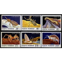 Румыния 1993. Животные  из Пещеры  MNH