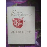 Юргис Балтрушайтис, Дерево в огне, стихи