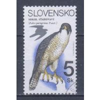 [1971] Словакия 1994. Фауна.Хищные птицы.Сокол. Гашеная марка.