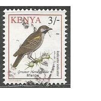 Кения. Птицы. Медоуказчик. 1993г. Mi#576.