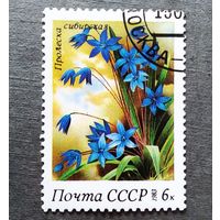 Марки СССР 1983 год Цветы