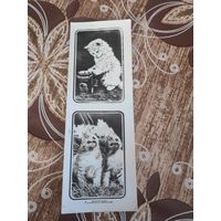 Фото закладка СССР