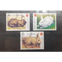 Сомали. 1999 год. Фауна. Кролики (562)