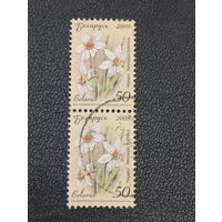 Беларусь 2008г. Нарцисс. Стандарт.Сцепка