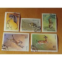 СССР 1985 Фауна. Животные. Полная серия 5 марок