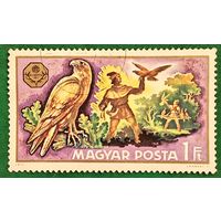 Венгрия 1971. Соколиная охота