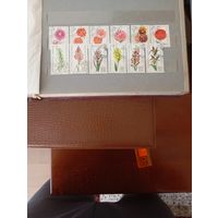 Флора сборный ГДР 2серии