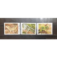 Сомали. 1998 год. Фауна. Пресмыкающиеся (1080)