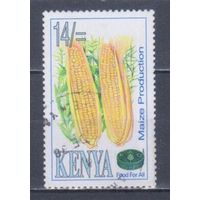 [61] Кения 1995. Флора.Плоды.Кукуруза. Гашеная марка.