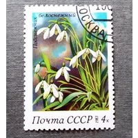Марки СССР 1983 год Цветы