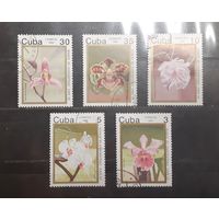 Куба. 1992 год. Флора. Цветы. Орхидеи (690)