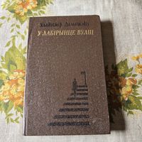 У лабірынце вуліц Уладзімір Дамашэвіч