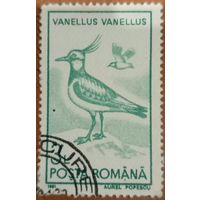 Румыния 1991. Фауна. Птицы. Vanellus
