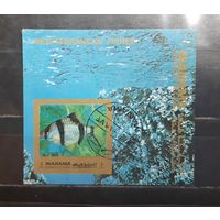 Манама. 1972 год. Фауна. Рыбы (беззубцовка) (1179)