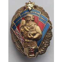 Знак МЧС 15 лет, вид 1, пожарный