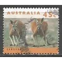 Австралия. Коалы. 1994г. Mi#1406.