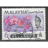 Малайские штаты(Селангор). Цветы. Орхидея Спатоглотис. 1965г. Mi#101.