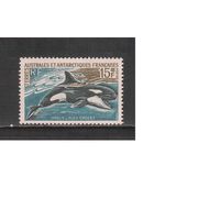 Французские Антарктические Территории-1969(Мих.52) , ** , Морская Фауна,