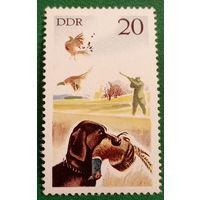 ГДР 1977. Охота