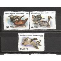 ФФ1 СССР 1991 Утки