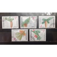 Болгария. 1996 год. Хвойные деревья. Флора (1299)