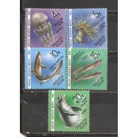 ФФ1 СССР 1991 Фауна черного моря