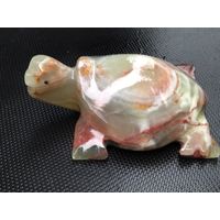 Черепашка оникс