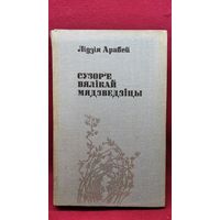 Лідзія Арабей Сузор'е вялікай мядзведзіцы