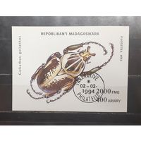 Мадагаскар. 1993 год. Фауна. Жуки (блок) (1181)