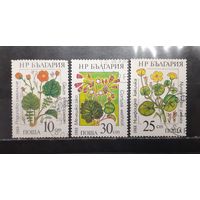 Болгария. 1988 год. Флора. Цветы. Лекарственные растения (1300)