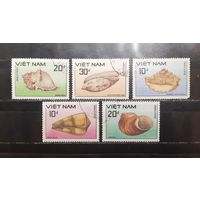 Вьетнам. Фауна. Ракушки (1337)