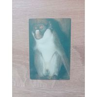 Календарик 1990