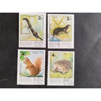 Венгрия  1986  4 м    дик.животные