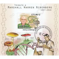 Мозамбик ,,Грибы,,2010г