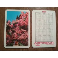 Карманный календарик. 1977 год. Аэрофлот