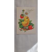 Открытка чистая