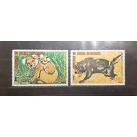 Экваториальная Гвинея. 1989 год. Фауна. Животные Австралии (563)