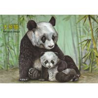 Беларусь 2024 Большая панда (худ. Митянин) (к5)