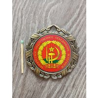Медаль настольная, Пинск
