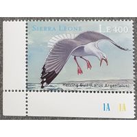 2000  Серебристая чайка Сьерра -Леоне