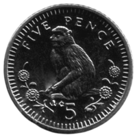 Заморская Территория Гибралтар 5 пенни /пенсов 2003 АС. Фауна. Обезьяна. Год тип.