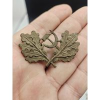 Кокарда лесник