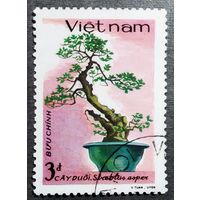 Марка Вьетнам 1986 год Дерево Бонсай