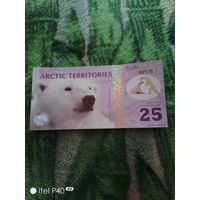 Арктик 25